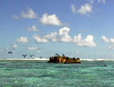 Remains of shipwreck at Kure Atoll