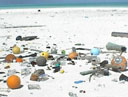 Debris on beach at Kure Atoll