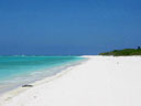 Beach at Kure Atoll